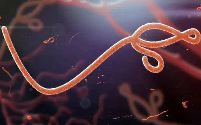 Những virus nguy hiểm nhất từng khiến thế giới chao đảo