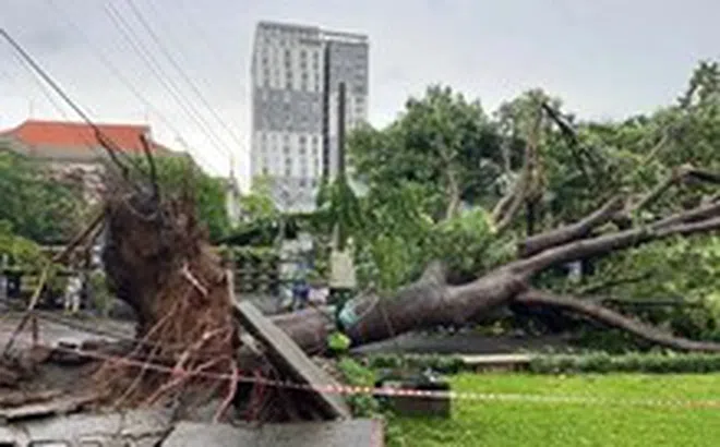 Liên tiếp 2 vụ điện giật vào mùa mưa làm 1 người chết tại TP.HCM