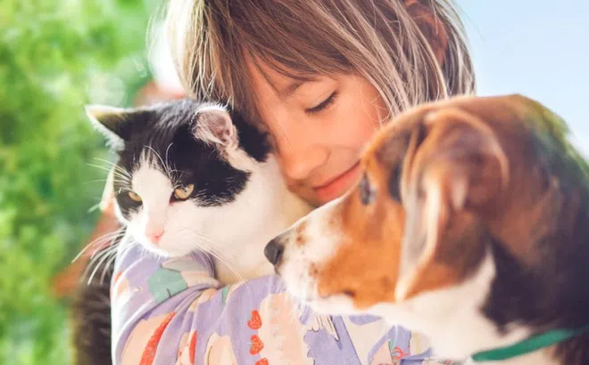 Những loại giun sán có thể lây nhiễm từ vật nuôi