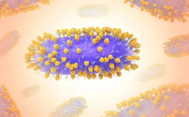 Những điều cần biết về virus RSV