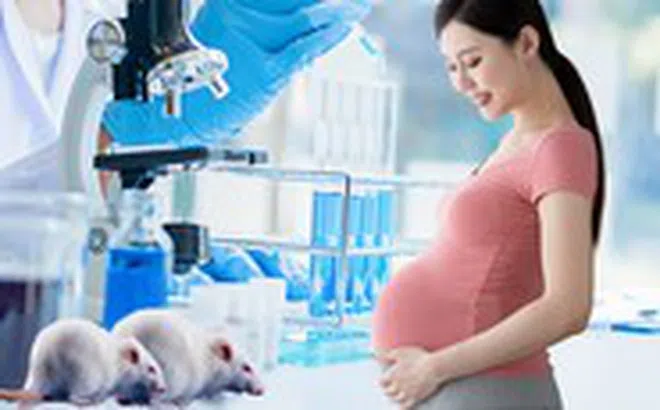 Mẹ thiếu sắt khi mang thai có thể khiến giới tính con bị thay đổi