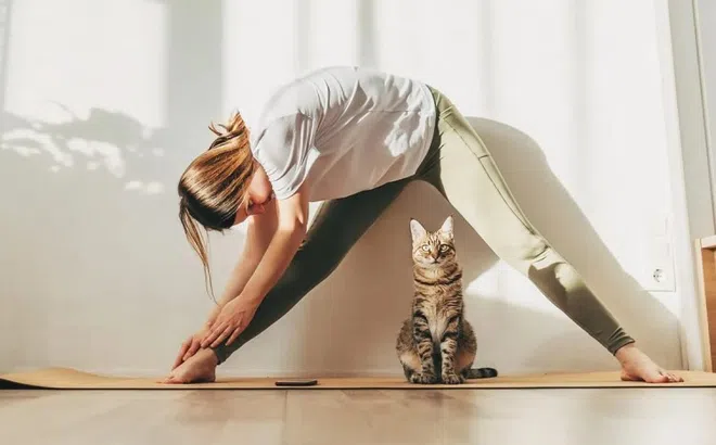 6 thói quen buổi sáng giúp 'đẩy lùi' mỡ máu