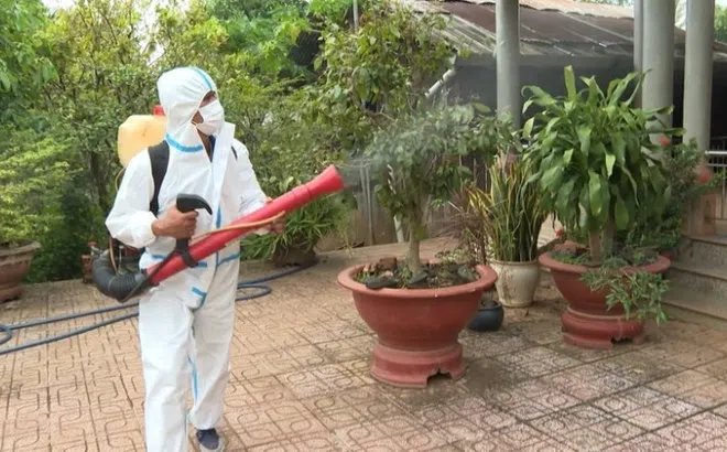 Số ca mắc sốt xuất huyết ở Hà Nội tăng, Covid-19 giảm mạnh