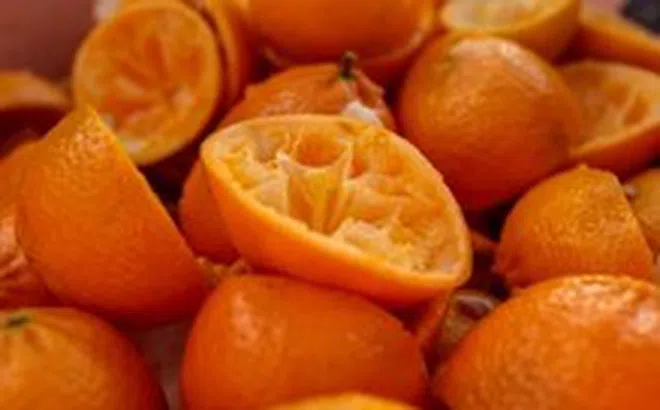 'Ăn một quả cam mỗi ngày sẽ giúp bạn không cần gặp bác sĩ da liễu': liệu có đúng?