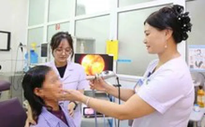 Hãi hùng phát hiện 7 con giòi trong hốc mũi của nữ bệnh nhân 60 tuổi