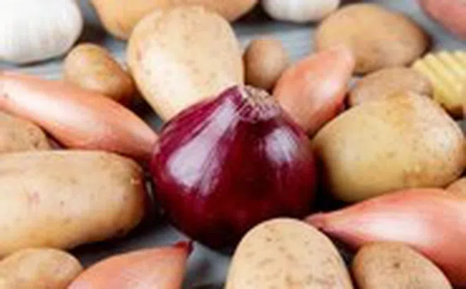 Bảo quản hành và khoai tây cùng nhau không gây nguy hiểm chết người
