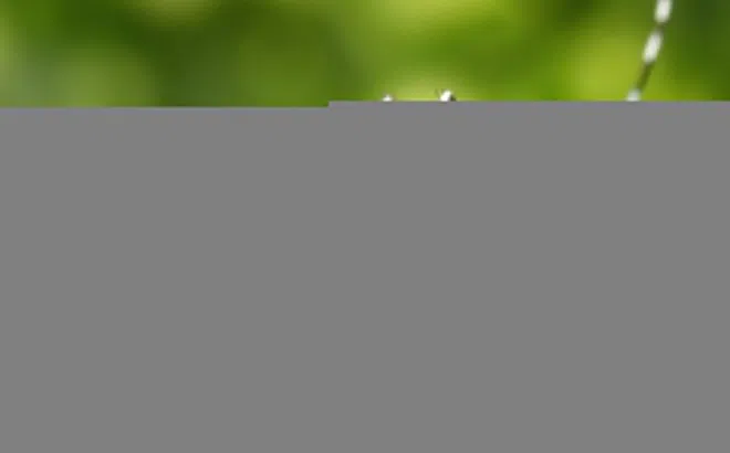 Bé 12 tuổi nguy kịch vì căn bệnh quen thuộc