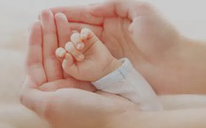 Em bé chào đời từ phôi thai đông lạnh 31 năm