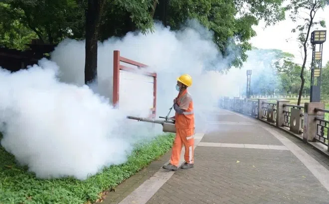 Hiểu đúng về cảnh báo khẩn với bệnh Chikungunya