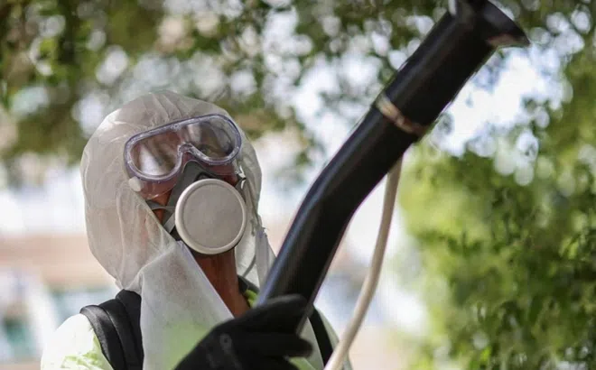 Bộ Y tế thông tin về bệnh Chikungunya ở Việt Nam