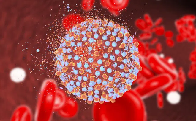 Dấu hiệu cảnh báo viêm gan C