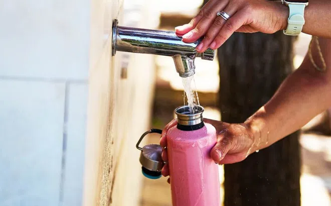 Bình nước tái sử dụng là 'ổ chứa' vi khuẩn