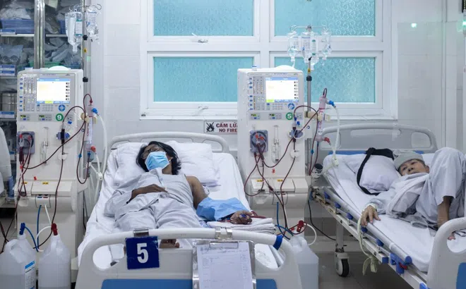 Thói quen nhiều người Việt làm khi đau dễ gây suy thận