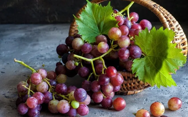 Tin mừng cho người thích ăn nho
