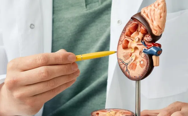 Dấu hiệu dễ thấy khi thận suy giảm chức năng, không nên bỏ qua