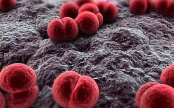 Bé 2 tuổi đi cấp cứu trong đau xót vì căn bệnh 'tử thần 24 giờ'