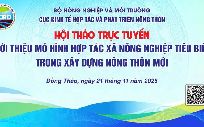 Hợp tác xã Nông nghiệp Tân Bình: Mô hình HTX điển hình trong xây dựng nông thôn mới